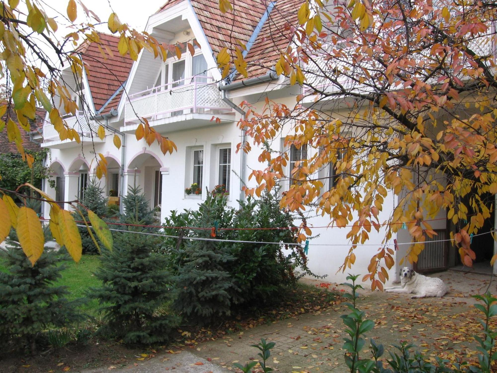 Pension Ovari Bük Exterior foto
